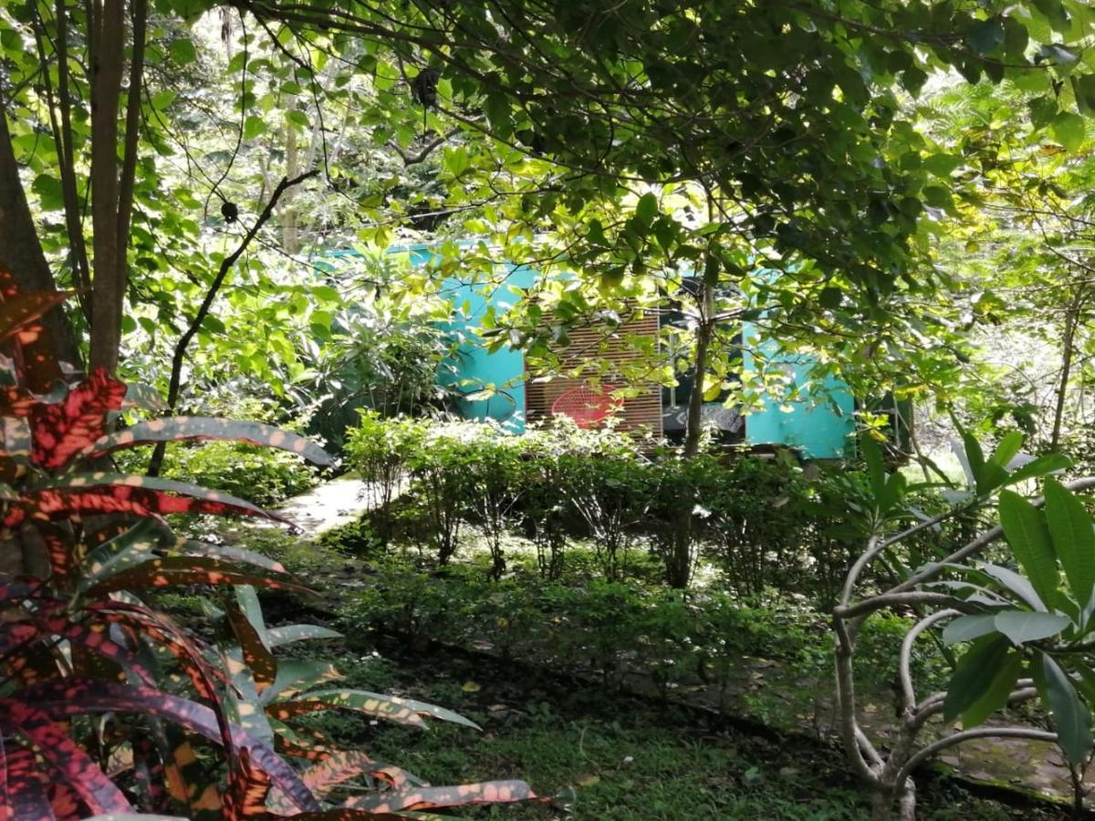 Casa Rural Aroma De Campo Curubande Luaran gambar